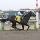 Quick Tempo wins impressively at PARX Racing on 10/20/20 in race 9