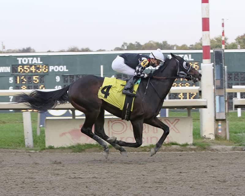 Quick Tempo wins impressively at PARX Racing on 10/20/20 in race 9