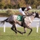 Embolden wins Punch Line Stakes at Laurel Park on 10/09/20 in race 8