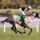 Embolden wins Punch Line Stakes at Laurel Park on 10/09/20 in race 8
