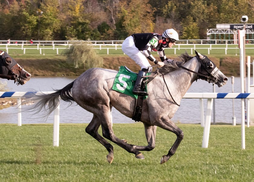 Embolden wins Punch Line Stakes at Laurel Park on 10/09/20 in race 8