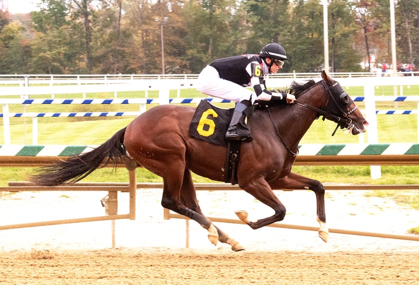 Starburst wins at Laurel Park in race #9 on 10/10/20