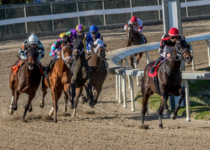 Dare To Dream Stable's 2 year-old colt Quick Tempo won the Sugar Bowl Stakes at Fair Grounds Race Course 12/19/20