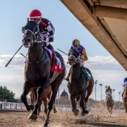 Quick Tempo wins the Sugar Bowl Stakes at Fair Grounds Race Course on 12/19/20