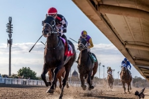 Quick Tempo wins the Sugar Bowl Stakes at Fair Grounds Race Course on 12/19/20