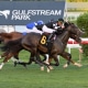 Moon Cat wins at Gulfstream Park on 01/07/23 in race #11