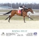 Rising Heat wins at Turfway Park on 01/01/23.