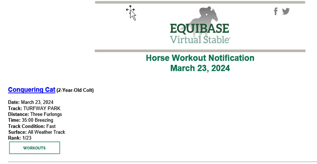 Conquering Cat bullet work 032324 at Turfway Park