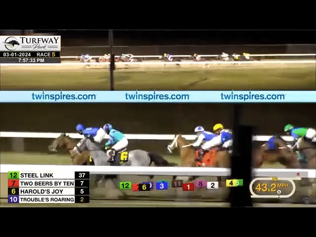 Horses jostling for position during the race