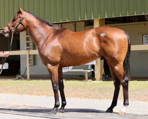 Believe the Hype - left side