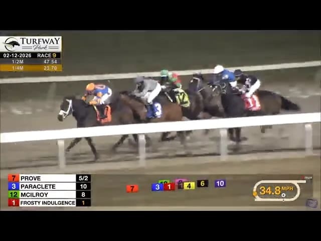 Turfway Park Race 9 in-race screenshot showing Prove and the pack with Frosty Indulgence poised behind