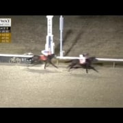 turfway-park-race-9-upper-stretch-frosty-indulgence-gaining Turfway Park Race 9 horses running the turn and upper stretch with Frosty Indulgence gaining momentum