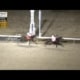 Turfway Park Race 9 horses running the turn and upper stretch with Frosty Indulgence gaining momentum