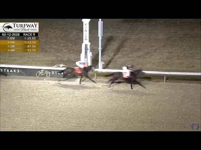 Turfway Park Race 9 horses running the turn and upper stretch with Frosty Indulgence gaining momentum